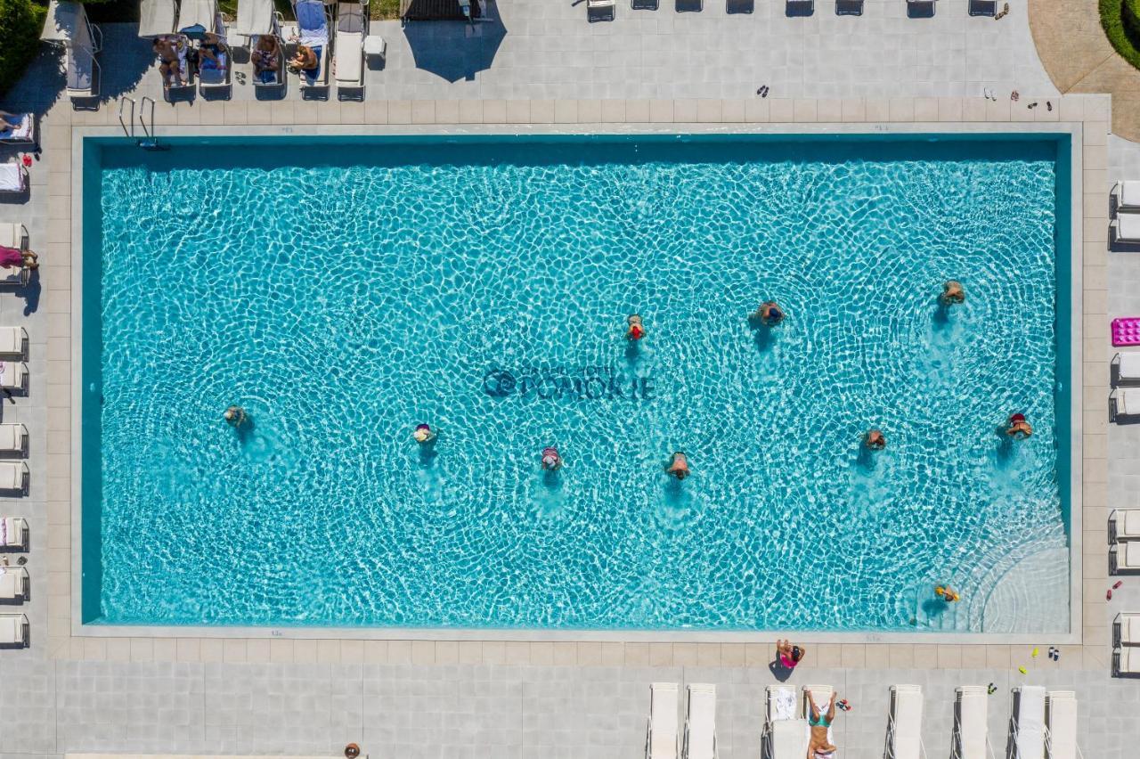 Grand - Medical Pomorie